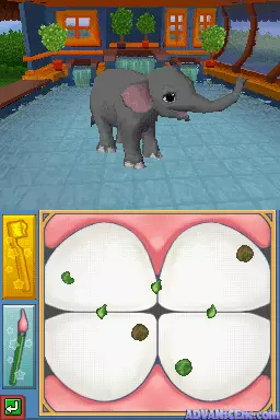 Image n° 3 - screenshots : Ringling Bros. and Barnum & Bailey - It's My Circus - Elephant Friend